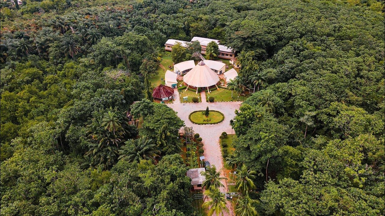 Lekki Conservation Centre